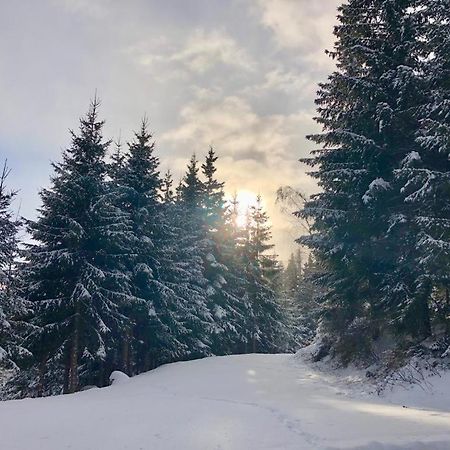 Almland Huette Villa Pusterwald Kültér fotó