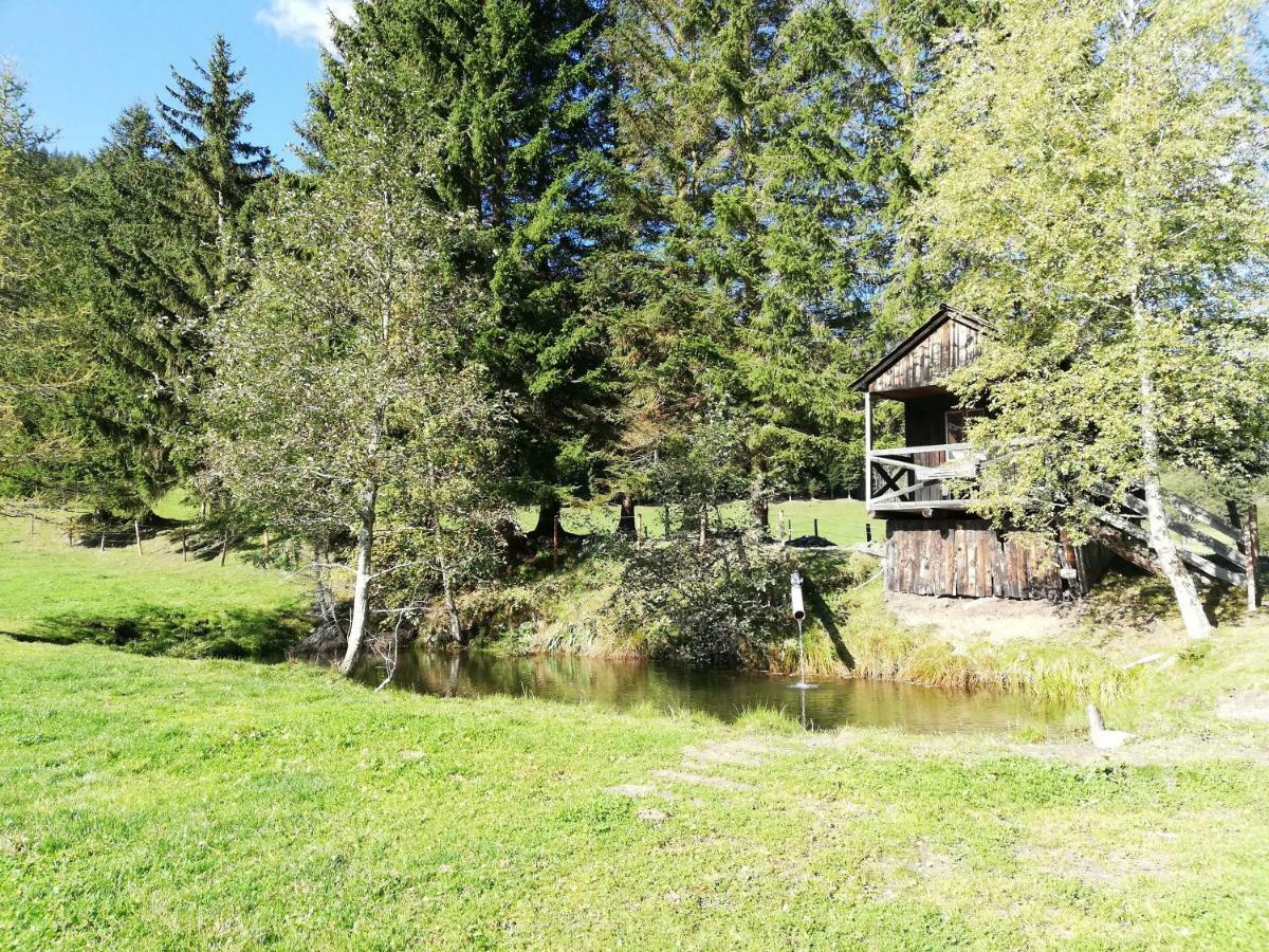 Almland Huette Villa Pusterwald Kültér fotó